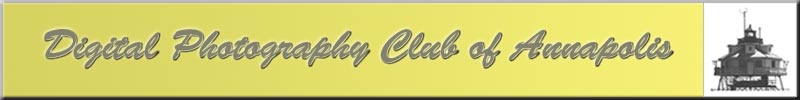 Header Graphic