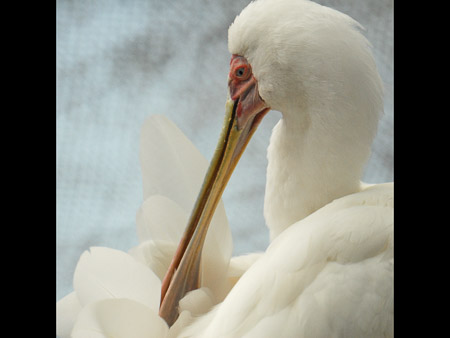 MD Zoo Field Trip-08