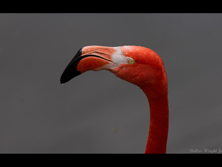 MD Zoo Field Trip-12