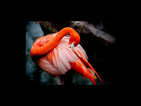 MD Zoo Field Trip-15