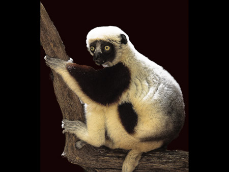 MD Zoo Field Trip-21