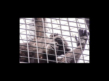 MD Zoo Field Trip-23