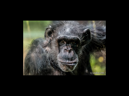 MD Zoo Field Trip-25