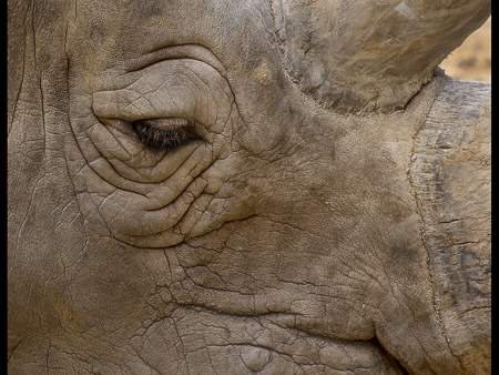 MD Zoo Field Trip-35