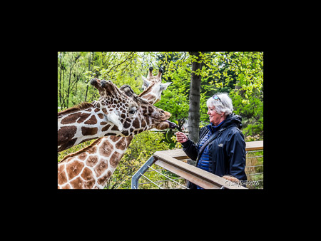MD Zoo Field Trip-40