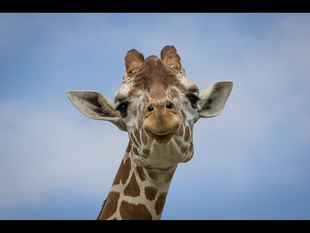MD Zoo Field Trip-41