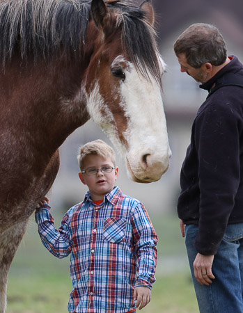 WayneB horse-7