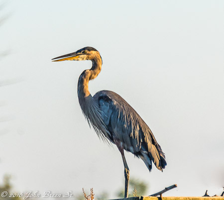 JVB_7478-Edit