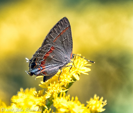 JVB_7978-Edit