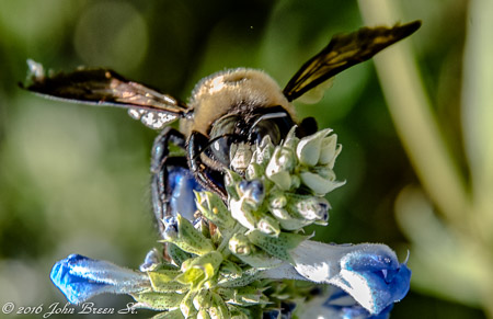 JVB_8079-Edit