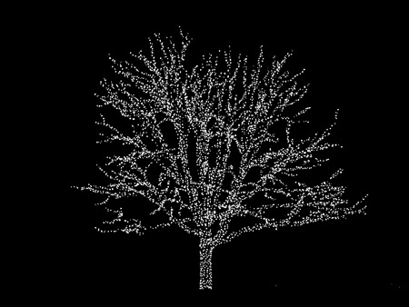 FallTrips-66