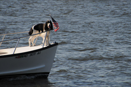 USNA Field Trip-06
