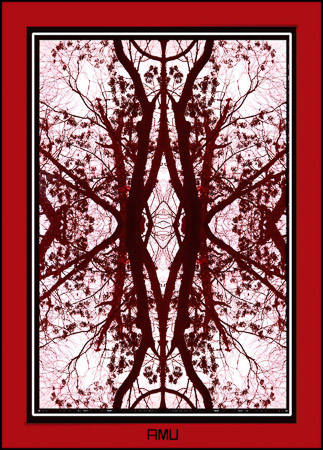 Auroskie-2