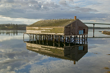 KKelly_Reflection03