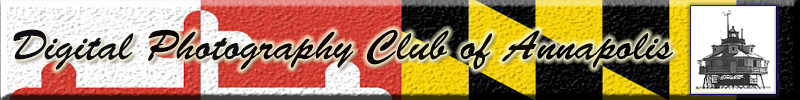 Header Graphic